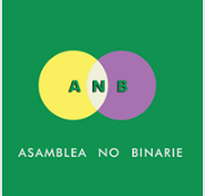 Asamblea No Binarie